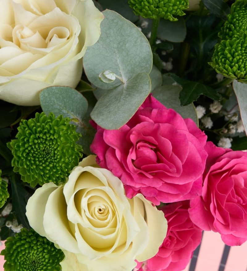 Mor Çizgili Zarfta Beyaz ve Pembe Güller