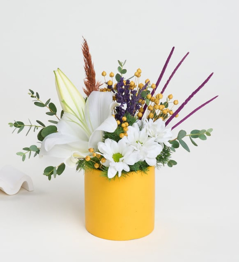  Sarı Saksıda Beyaz Lilyum ve Beyaz Papatyalar