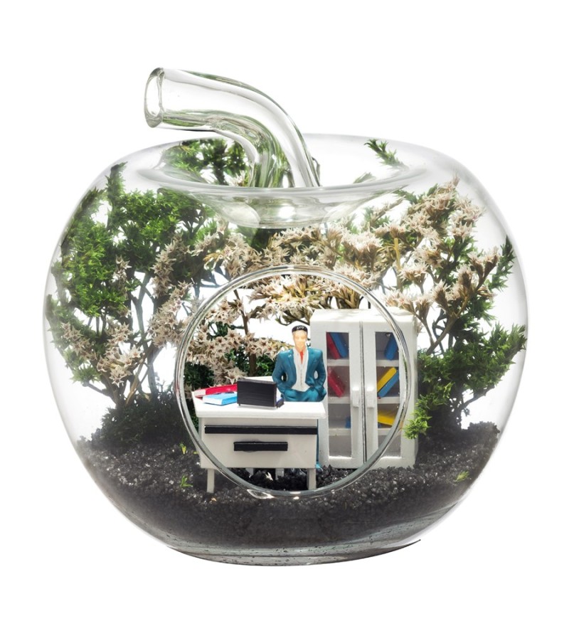 Teraryum Mini Yeni İş Erkek